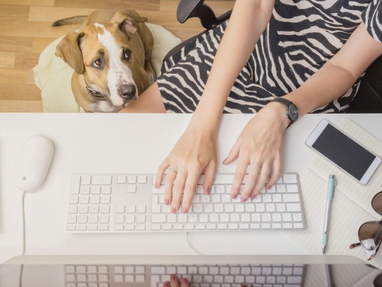 Person typing on a keyboard at a desk with a dog sitting beside them during an online somatic therapy session in Los Angeles