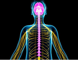 Trauma Therapist in Los Angeles Shares 5 Nervous System Regulation Tips