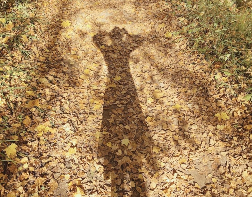 shadow of a woman walking to therapy in Los Angeles. leaves are on the ground and they are yellow.