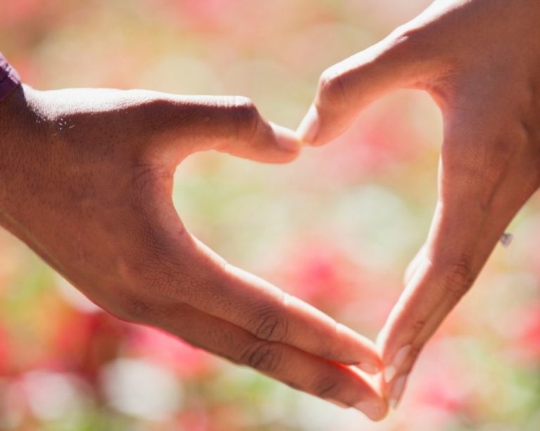 Two hands from a couple touching to make a heart. Photo shows secure attachment with a los angeles background with pink flowers.