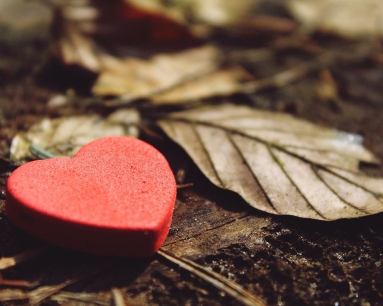 Photo of a red heart and a few green leaves. Photo represents attachment therapy in LA for an attachment therapy website.