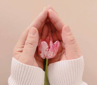 A hand holding a small pink flower in LA, two sleeves show of a white sweater.