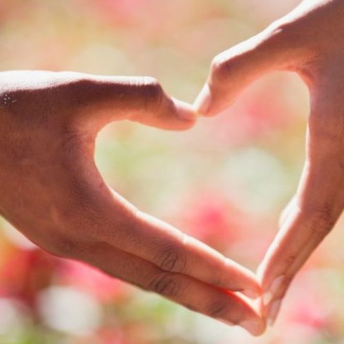 Two hands from a couple touching to make a heart. Photo shows secure attachment with a los angeles background with pink flowers.