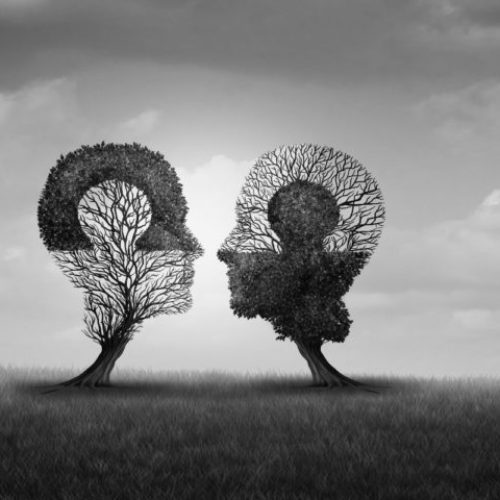 Photo of two trees that look like human heads. Photo is black and white, and represents attachment and somatic therapy website page in Los Angeles